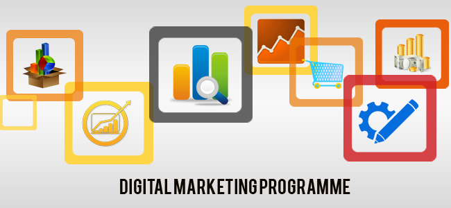 digital marketing program